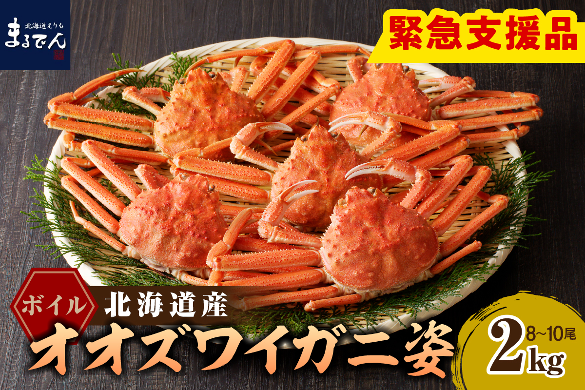 えりも【マルデン特製】ボイルオオズワイガニ姿 2kg《1kg(４尾～５尾)×2》