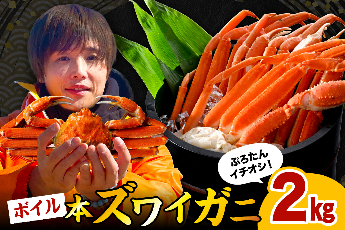 本ズワイガニ6肩～9肩（約2㎏）