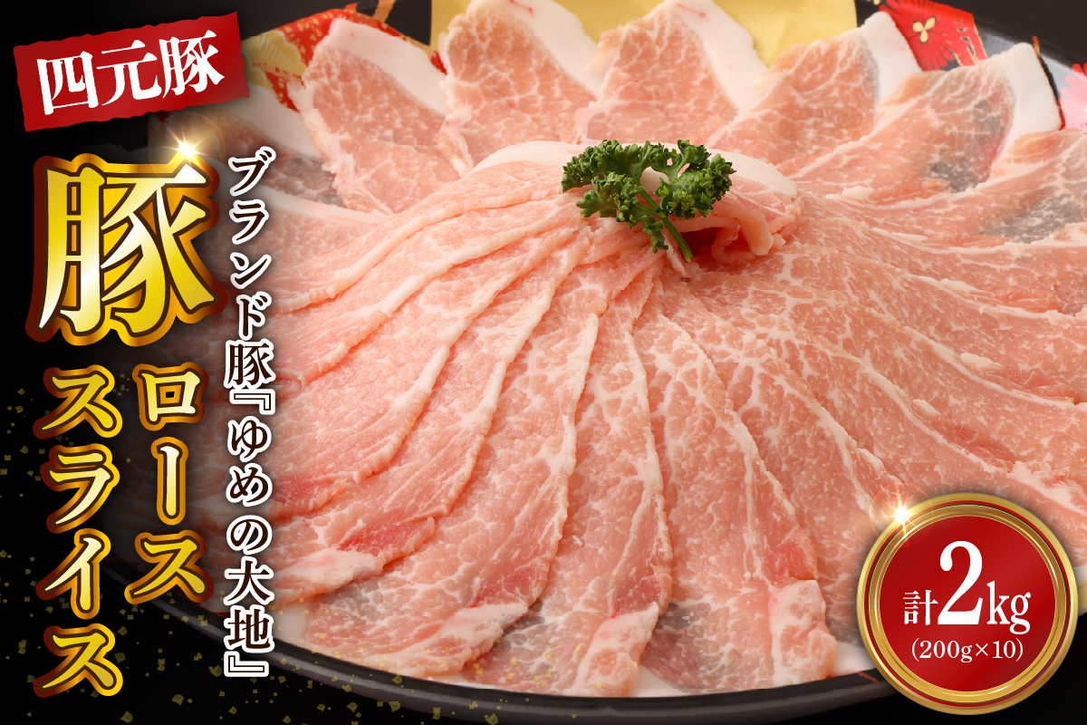 【えりも町生まれ 四元豚】ゆめの大地豚ローススライス200g×10パック計2kg