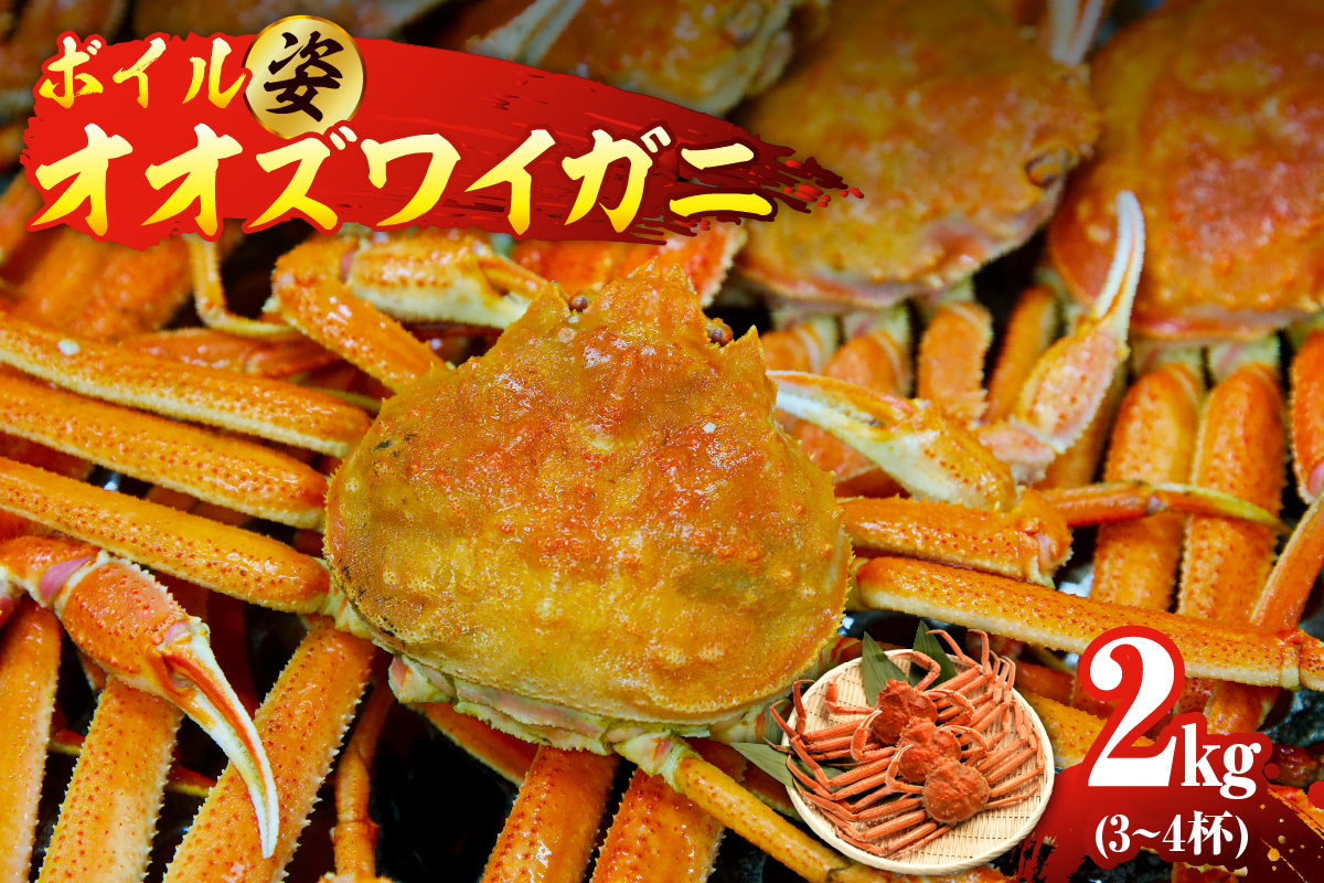 ボイルオオズワイガニ姿　2kg（3～4杯）